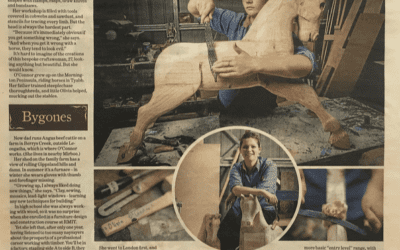 The Age Newspaper