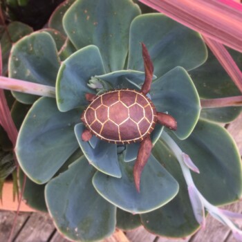 Turtle with gold leaf sculpture art by Olivia O'Connor