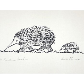 'ECHIDNA PARADE' wood block print by Olivia O'Connor
Limited edition of 50. Hand carved wood block and printed using oil based ink onto quality French printing paper.