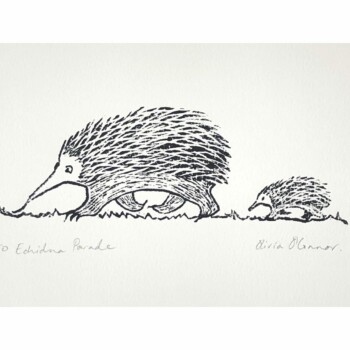 'ECHIDNA PARADE' wood block print by Olivia O'Connor
Limited edition of 50. Hand carved wood block and printed using oil based ink onto quality French printing paper.