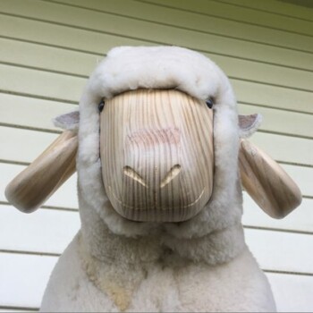 Rocking Ram with horns Rocking Ram with horns