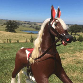 'Arctic' hide covered Hojack Rocking Horse after restoration. 'Arctic' hide covered Hojack Rocking Horse after restoration.