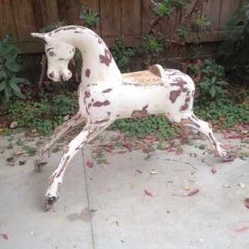 'Hoysted' Bartlett 'Hoysted' Bartlett