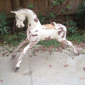 'Hoysted' Bartlett 'Hoysted' Bartlett