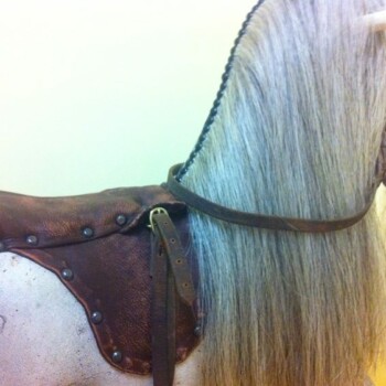 'Dianne' Roebuck rocking horse after restoration 'Dianne' Roebuck rocking horse after restoration